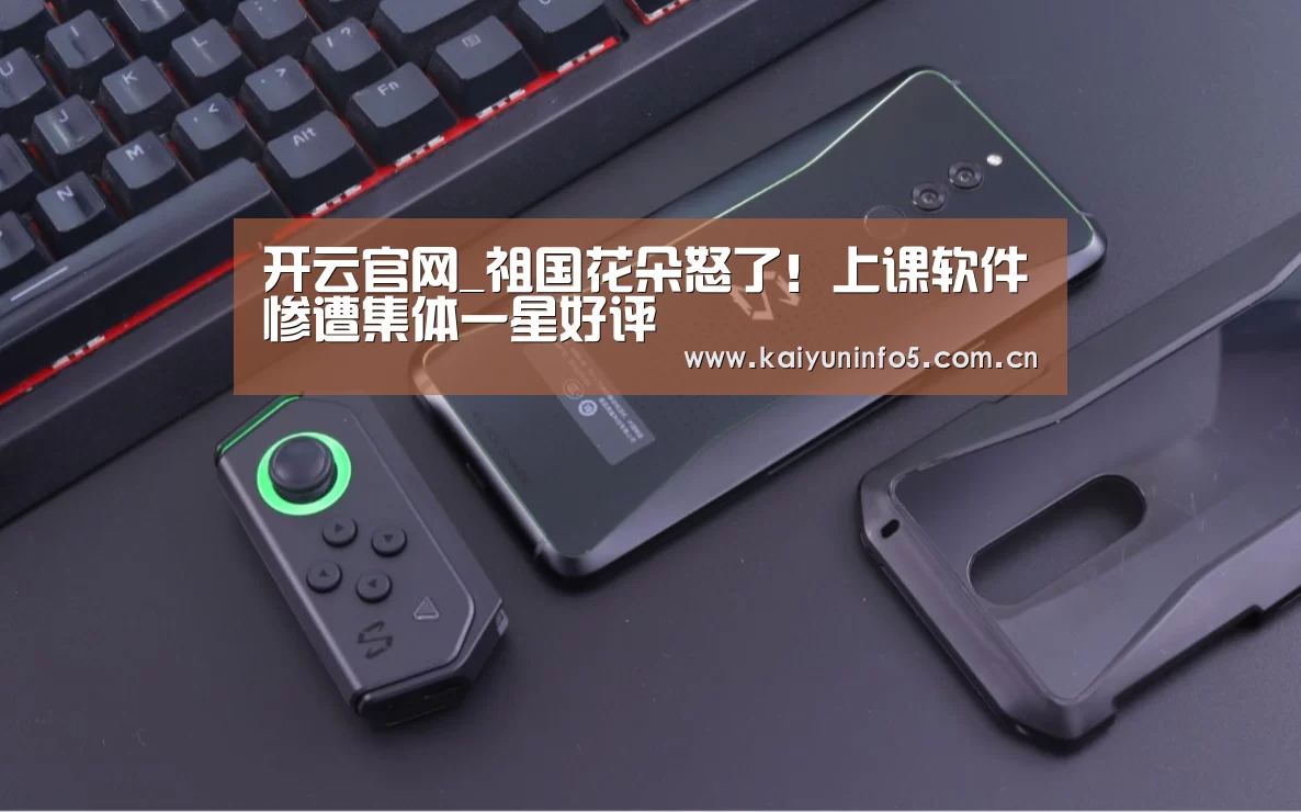 开云官网_祖国花朵怒了！上课软件惨遭集体一星好评